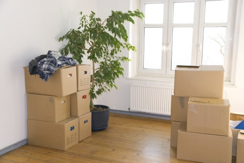 Team member reviewing ethical compliance documents for removal services in Fulham